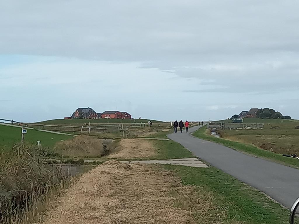 SchleswigKappeln (241)